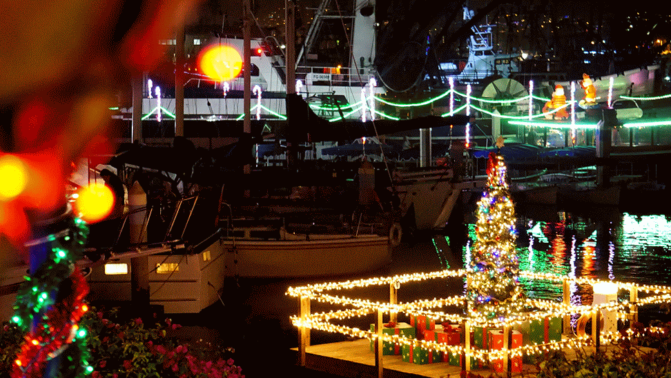 Island Packers Whales And Wildlife Cruise holiday lights ventura harbor village boats
