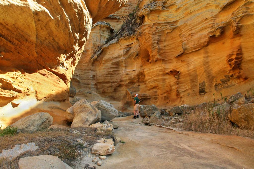 Hiking on Santa Rosa Island at Lobo Canyon