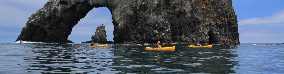 Whales, Orcas, & Dolphins Along Ventura California's Coast channel islands kayaking