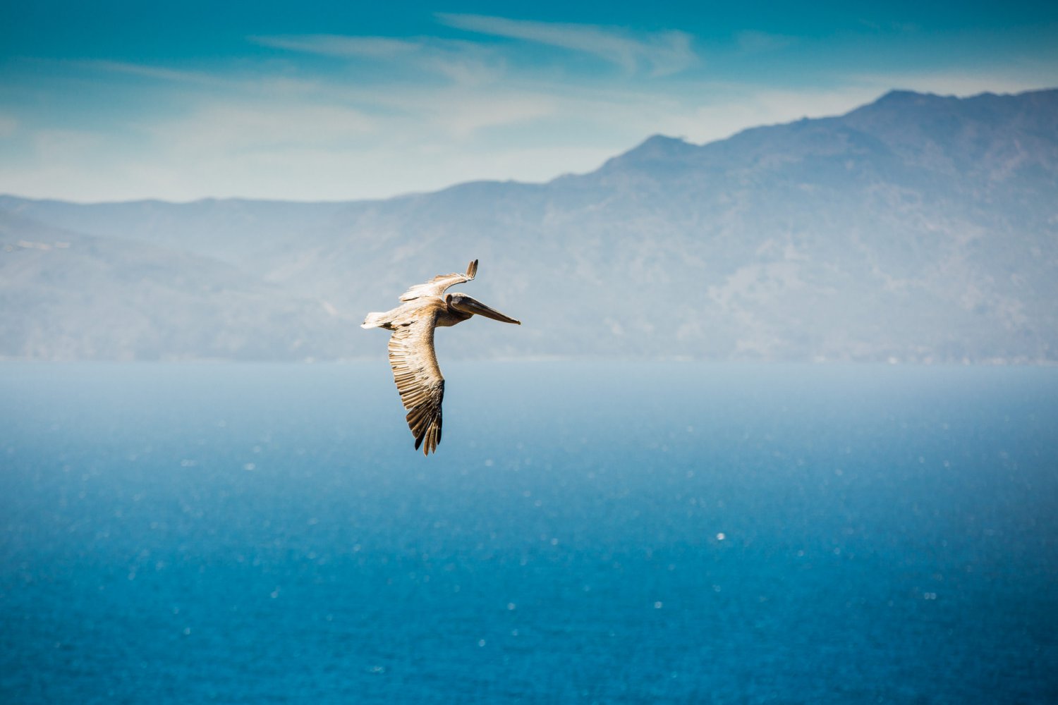 Ten Fun Facts about Channel Islands National Park Ten Fun Facts about Channel Islands National Park