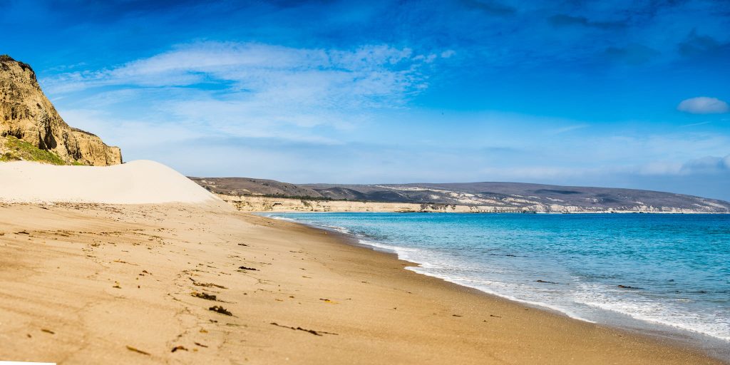 A Beginner's Guide to a Day Trip at the Channel Islands Santa Rosa Island: Things to Do