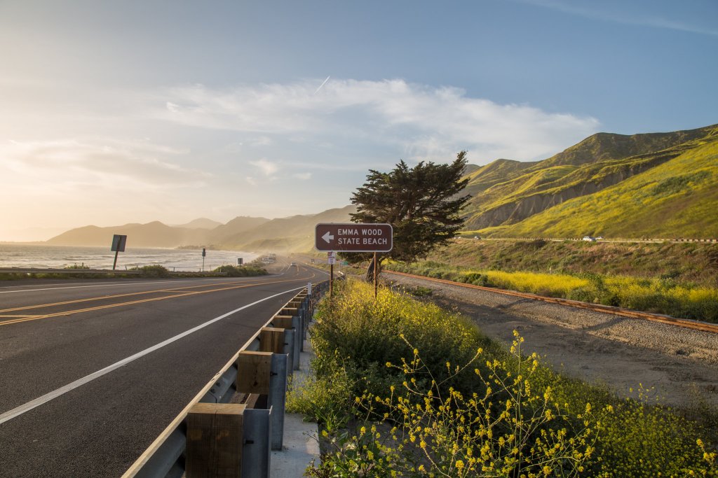 Where To See Wildflowers in Ventura, CA | Ventura Outdoors and Parks Where To See Wildflowers in Ventura, CA | Ventura Outdoors and Parks