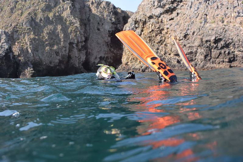 A Beginner's Guide to a Day Trip at the Channel Islands snorkeling at santa cruz island