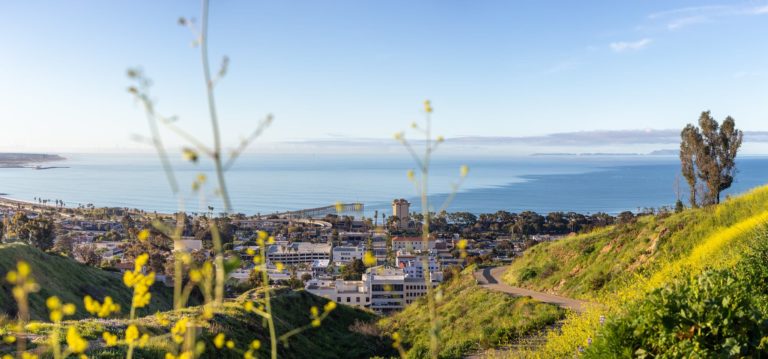 Here are the Best Places to Picnic and Eat in Ventura grant Park Ventura