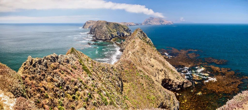 Plan a trip to Anacapa Island