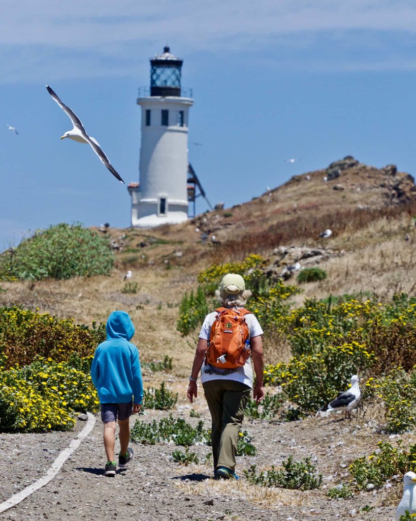 A Beginner's Guide to a Day Trip at the Channel Islands What is Anacapa Island known for?