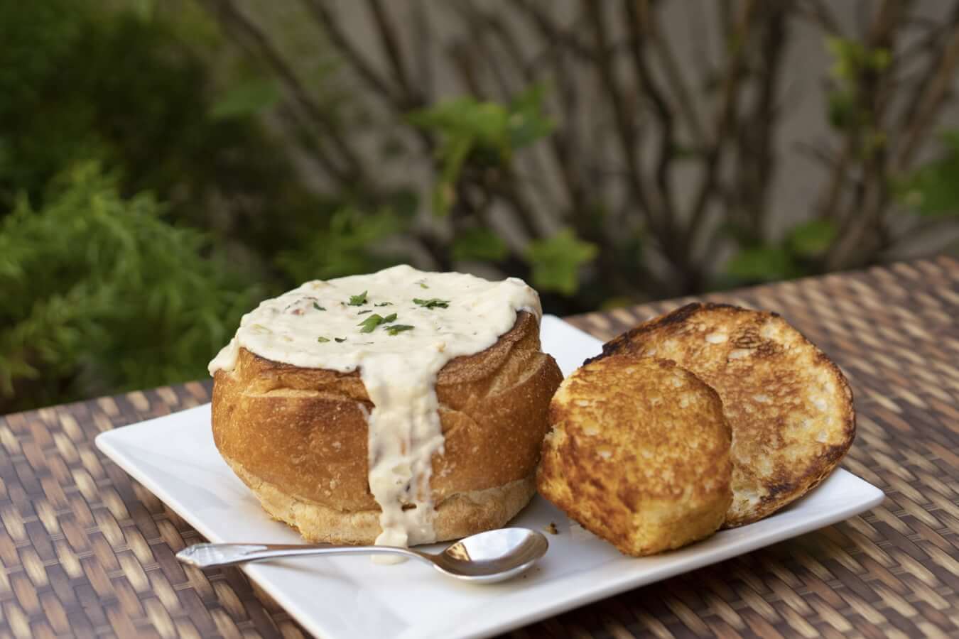 What Can I Do in Ventura in the Fall? clam chowder