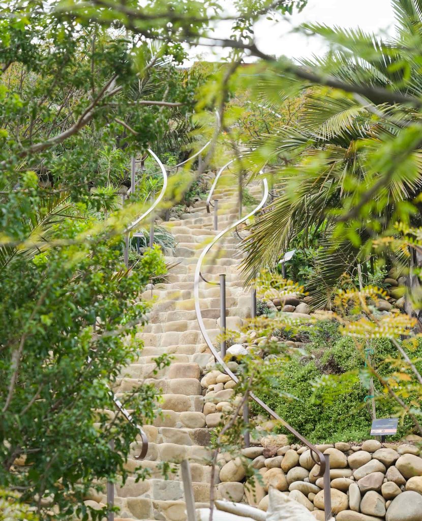 A Tour of the Ventura Botanical Gardens: Experience A Walk in Nature Visit the Ventura Botanical Gardens