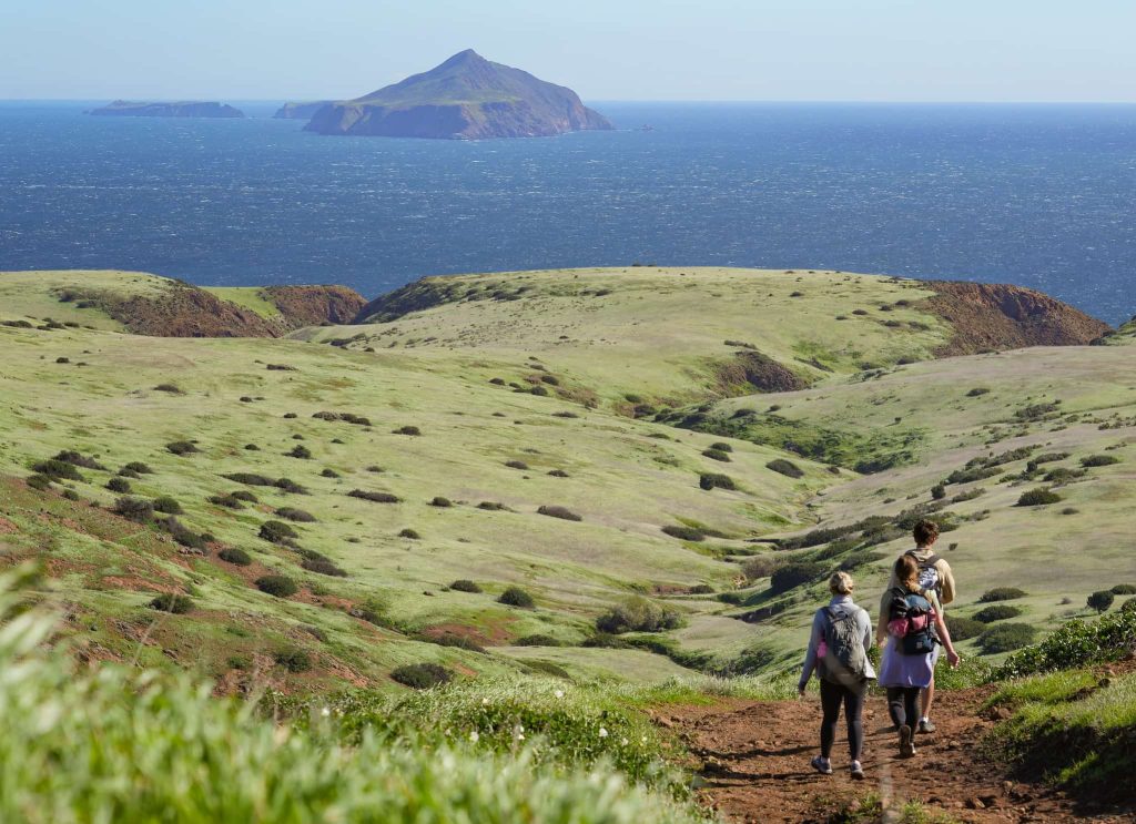 A Beginner's Guide to a Day Trip at the Channel Islands Hiking on Green Santa Cruz Island during spring, Channel Islands National Park