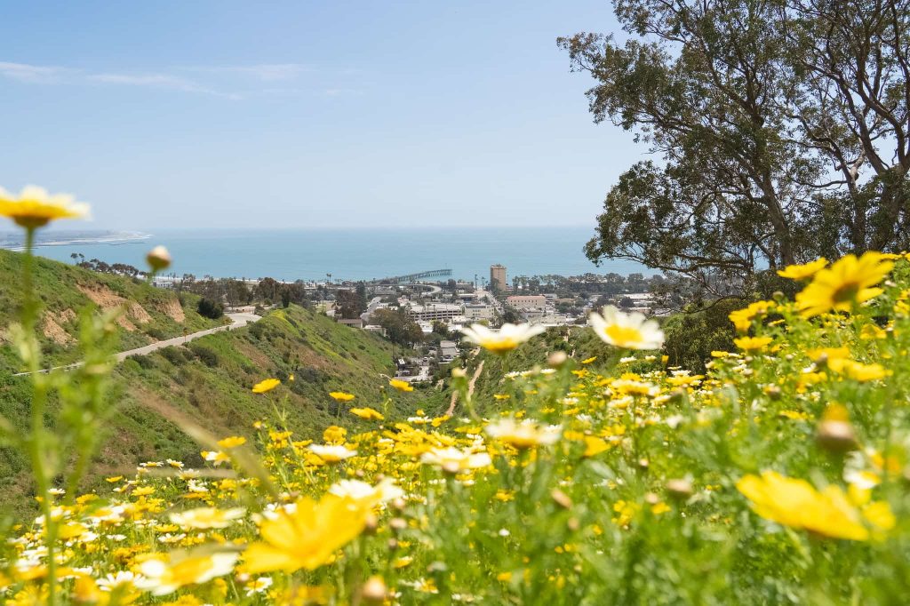 How to Spend the Perfect Spring Day in Ventura How to Spend the Perfect Spring Day in Ventura