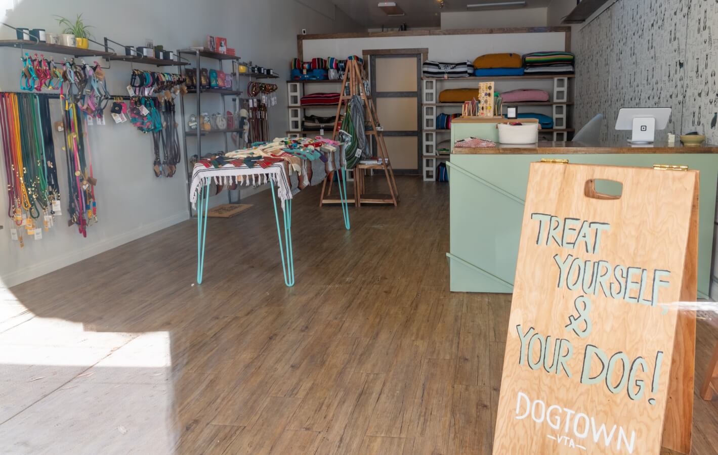New Businesses You Have to Check Out in Ventura | December 2022 dogtown interior