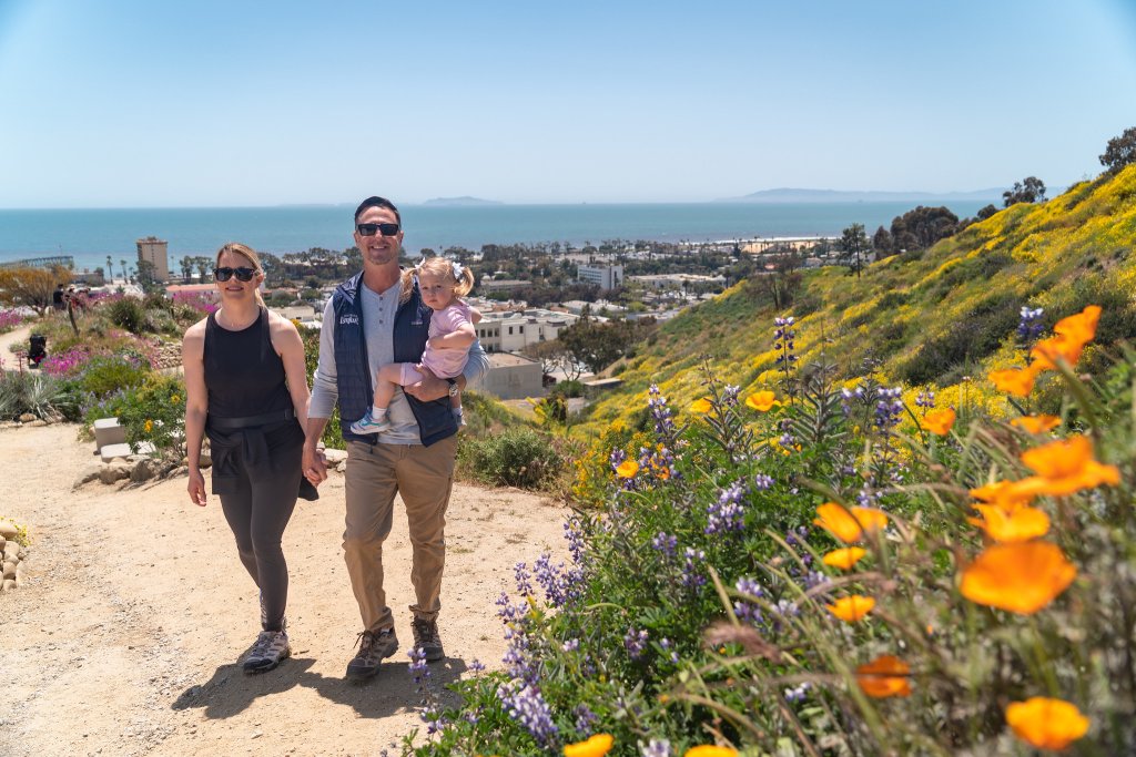 Where To See Wildflowers in Ventura, CA | Ventura Outdoors and Parks Where To See Wildflowers in Ventura, CA | Ventura Outdoors and Parks