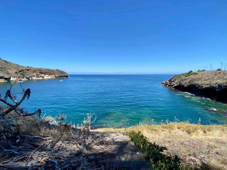 Holly Lohuis Prisoners santa cruz islands