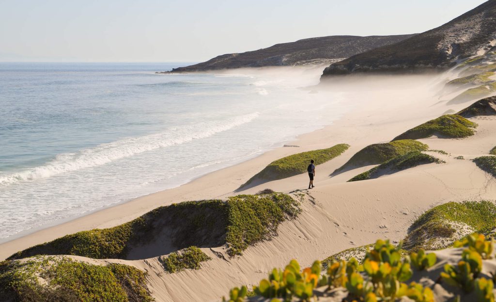 A Beginner's Guide to a Day Trip at the Channel Islands Planning a trip to San Miguel Island
