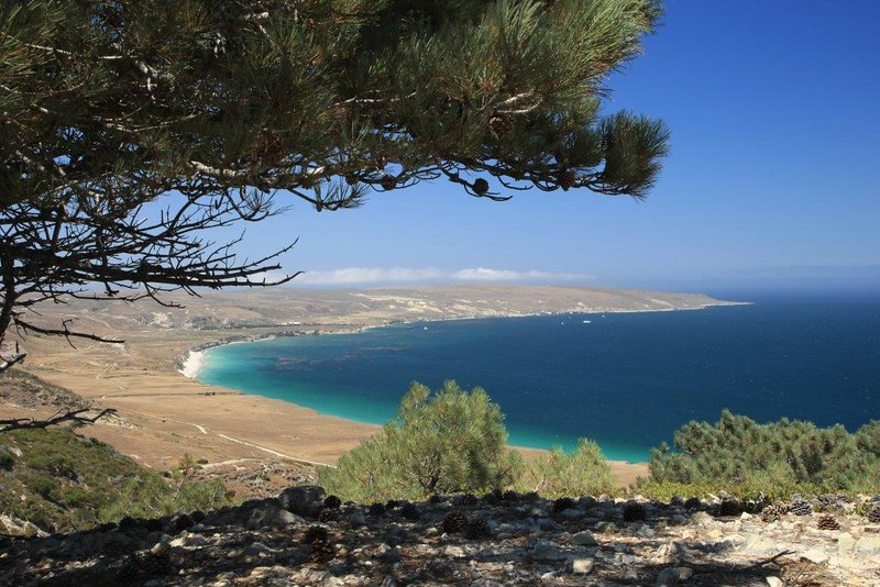 A Beginner's Guide to a Day Trip at the Channel Islands How to Get to Santa Rosa Island